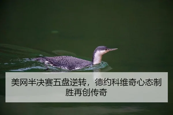 mei-wang-ban-jue-sai-wu-pan-ni-zhuan-de-yue-ke-wei-qi-xin-tai-zhi-sheng-zai-chuang-chuan-qi-2-140.jpg